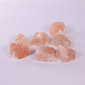 Himalajska so 3-5 cm